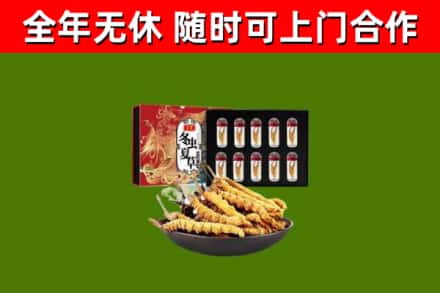 惠民县回收冬虫夏草价格